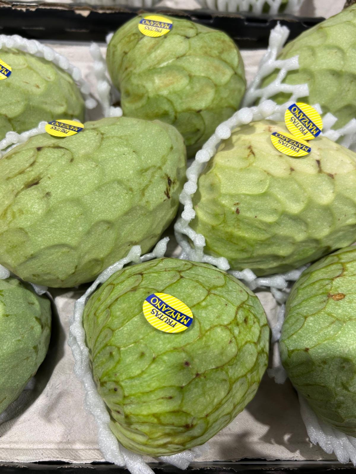 WhatsApp Image 2026-01-26 at 09.58.23 (1)