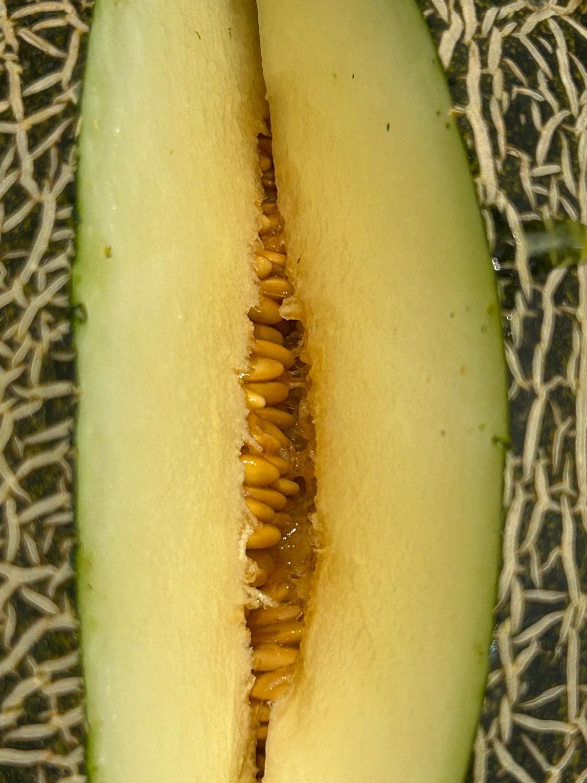 WhatsApp Image 2026-01-26 at 09.58.23 (2)