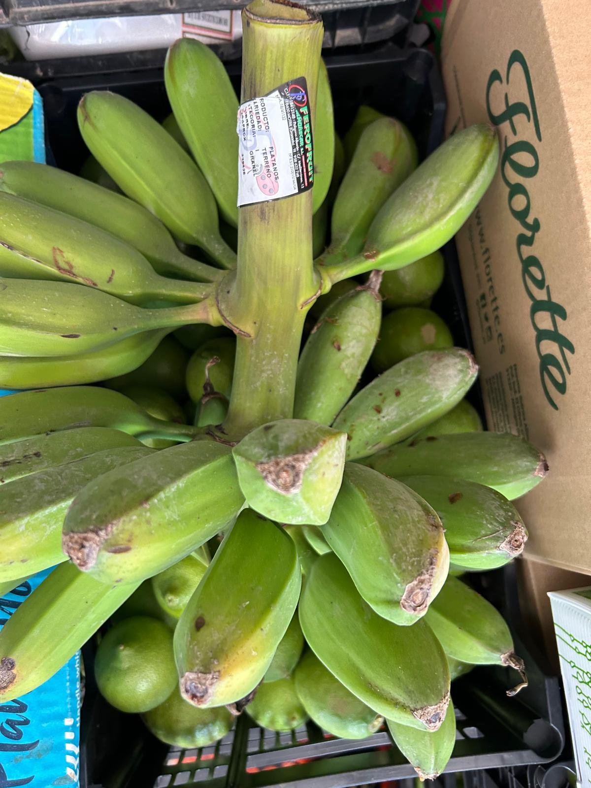 WhatsApp Image 2026-01-26 at 09.58.23