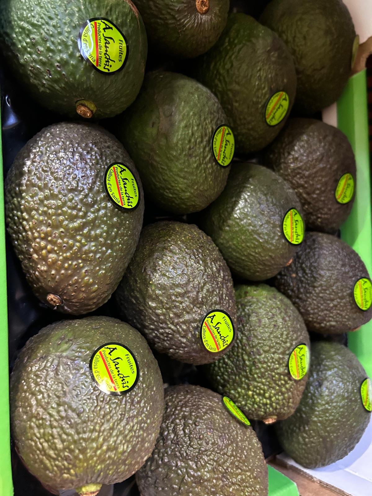 WhatsApp Image 2026-01-26 at 09.58.25 (3)