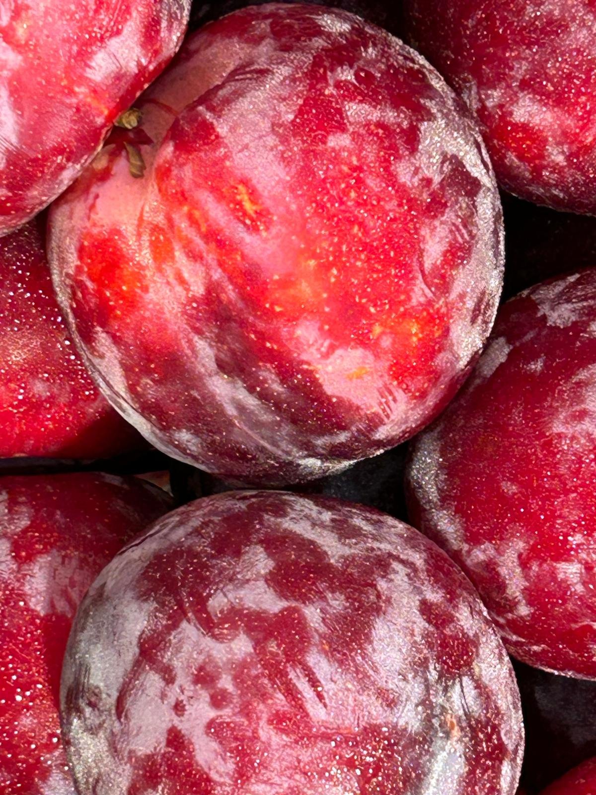 WhatsApp Image 2026-01-26 at 09.58.26 (1)