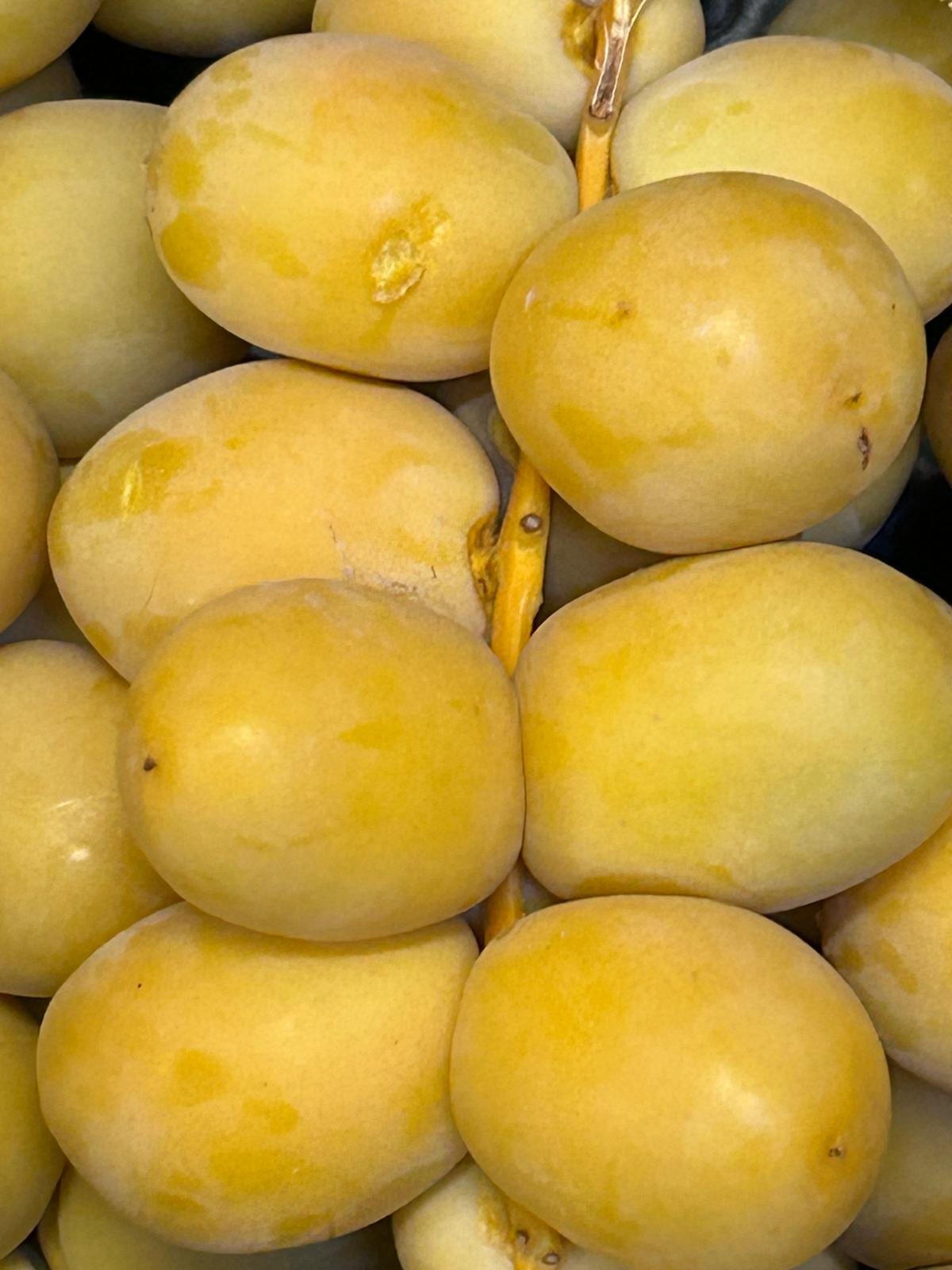 WhatsApp Image 2026-01-26 at 09.58.26