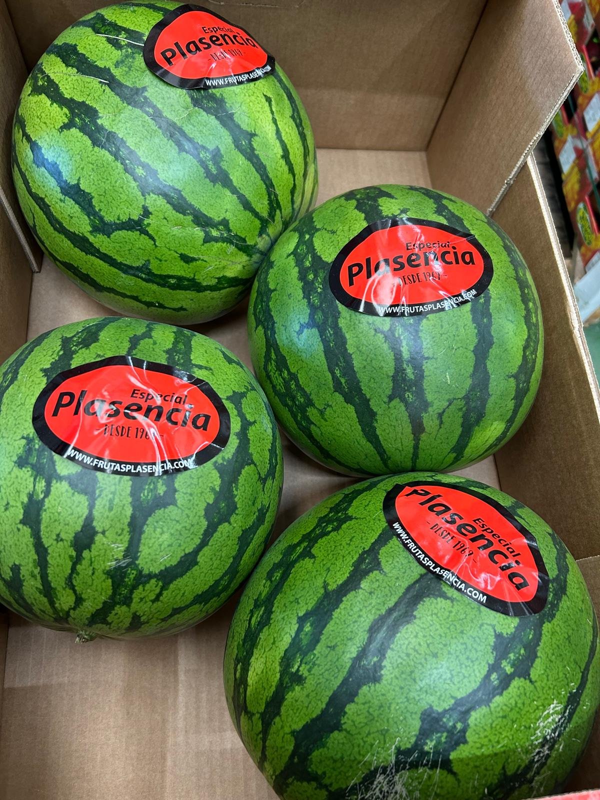 WhatsApp Image 2026-01-26 at 09.58.27 (1)