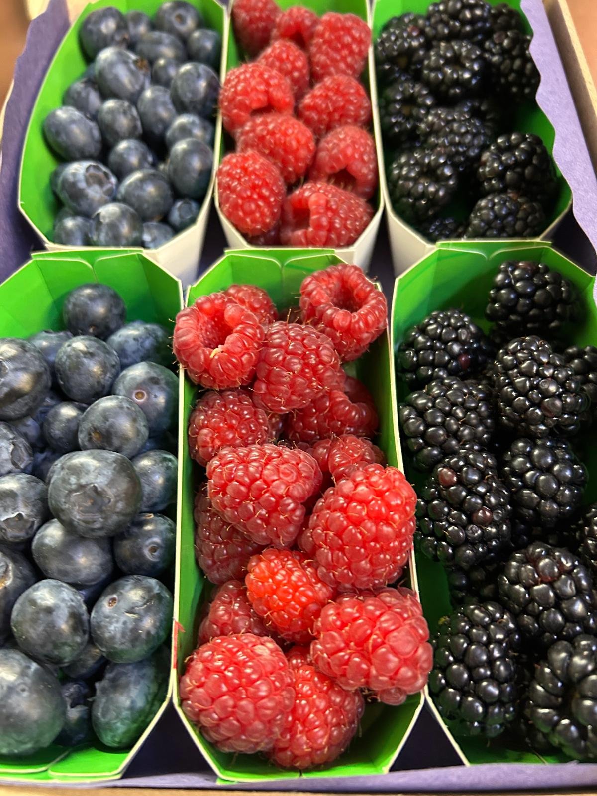 WhatsApp Image 2026-01-26 at 09.58.27