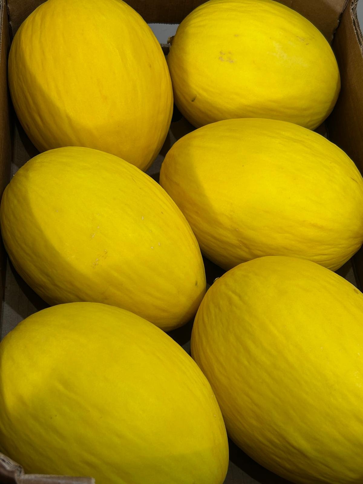 WhatsApp Image 2026-01-26 at 09.58.28 (1)