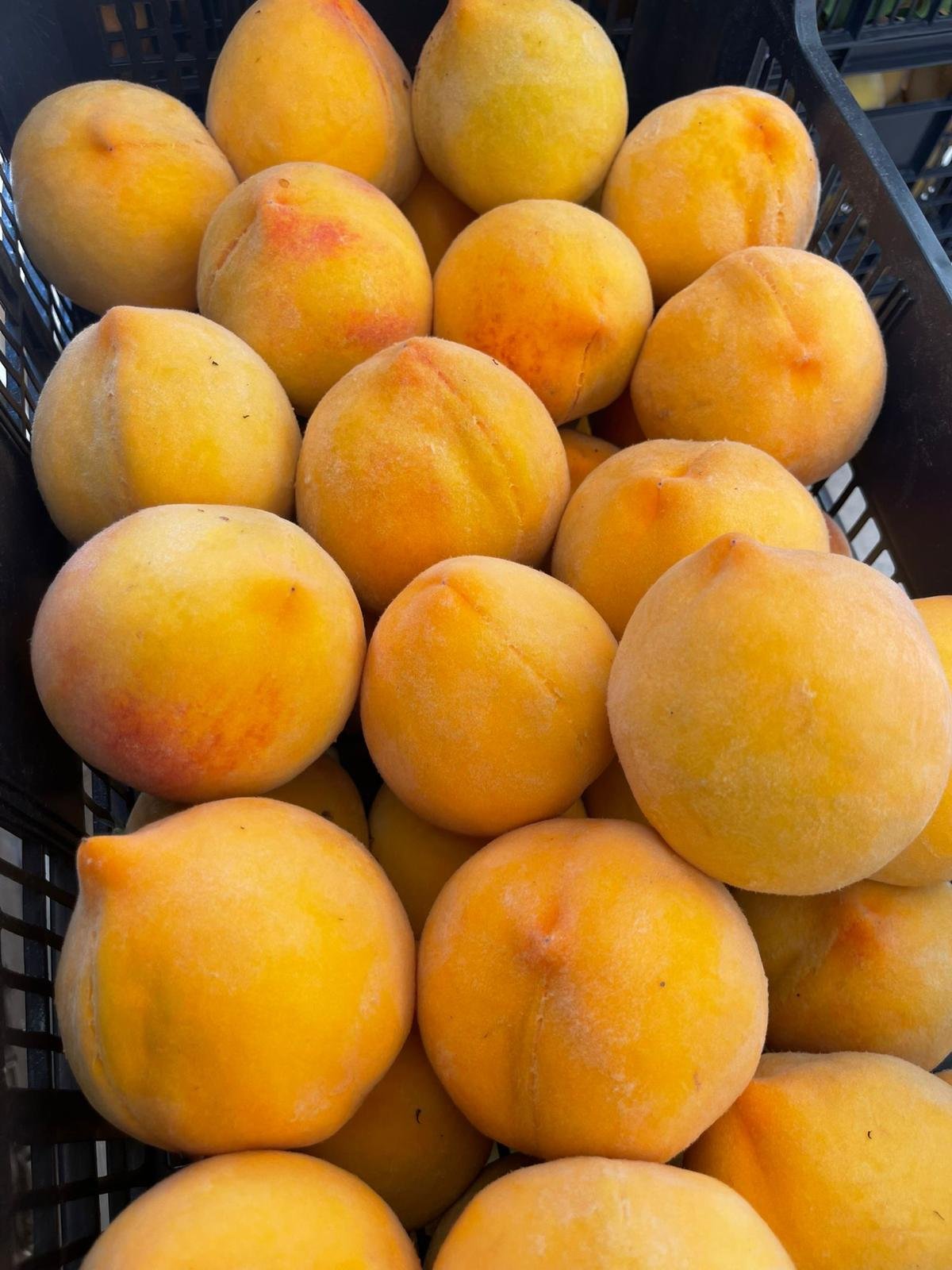 WhatsApp Image 2026-01-26 at 09.58.29 (1)