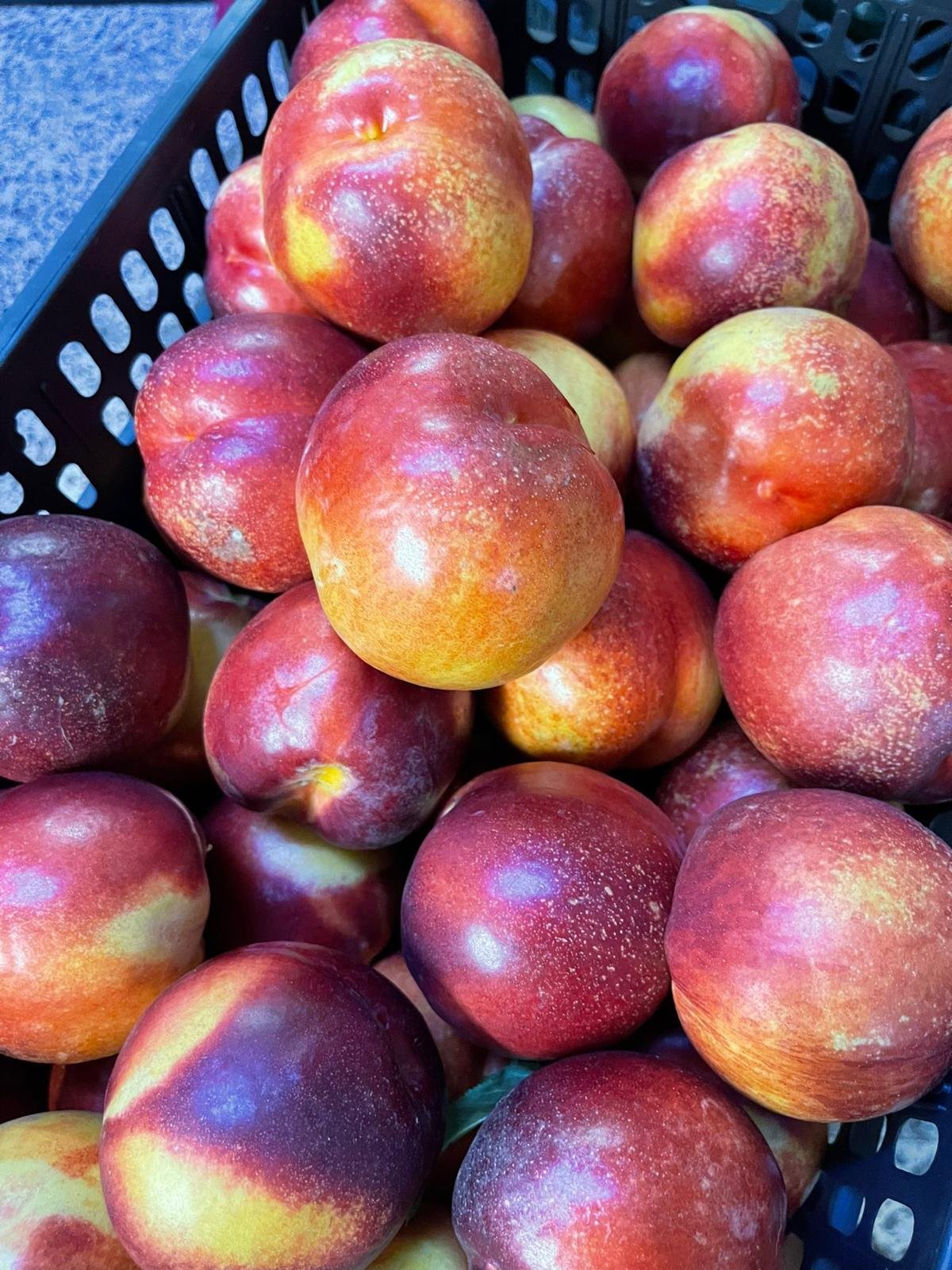 WhatsApp Image 2026-01-26 at 09.58.29 (2)