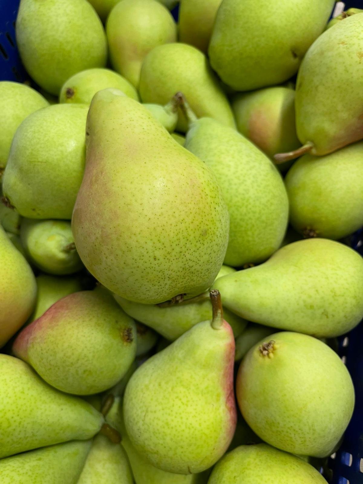 WhatsApp Image 2026-01-26 at 09.58.29 (3)