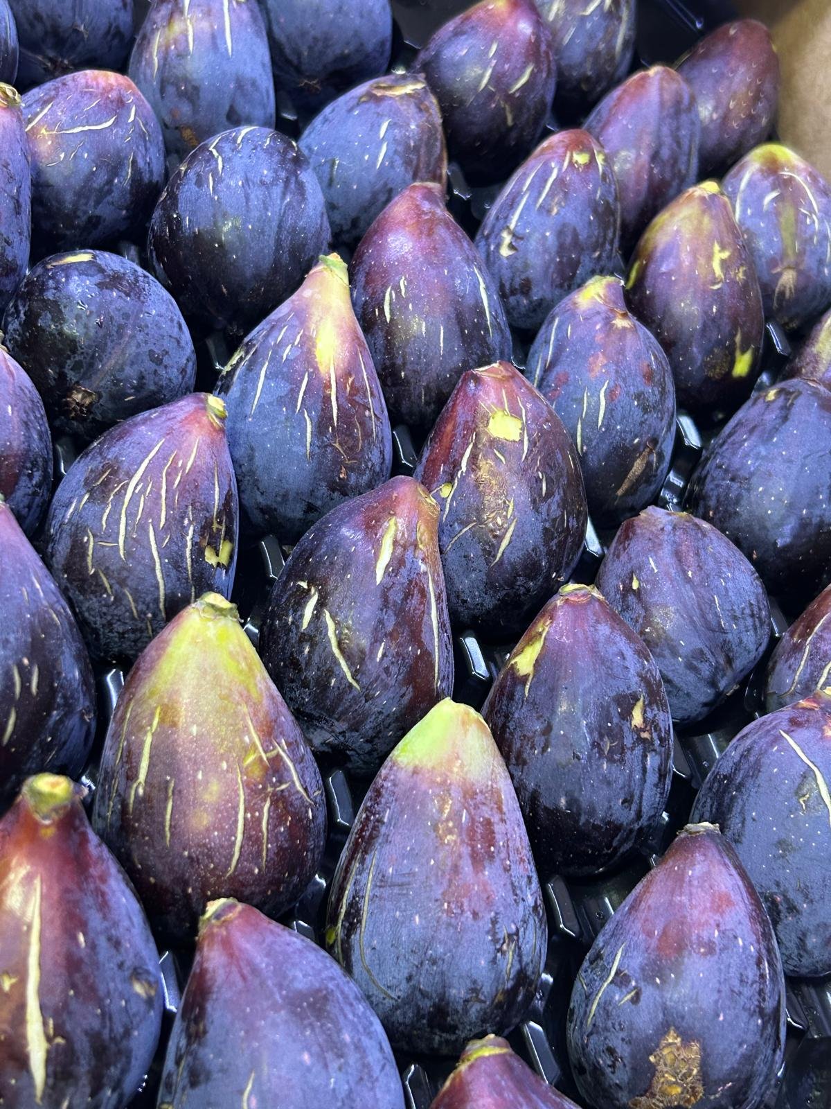 WhatsApp Image 2026-01-26 at 09.58.31 (2)