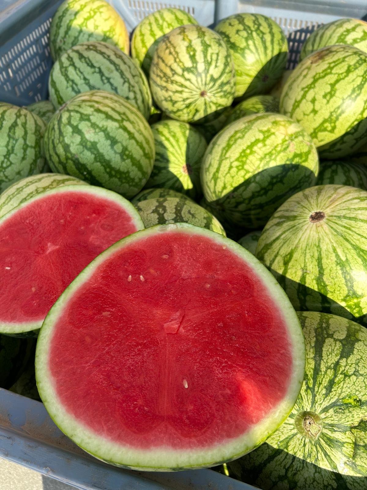 WhatsApp Image 2026-01-26 at 09.58.31 (3)