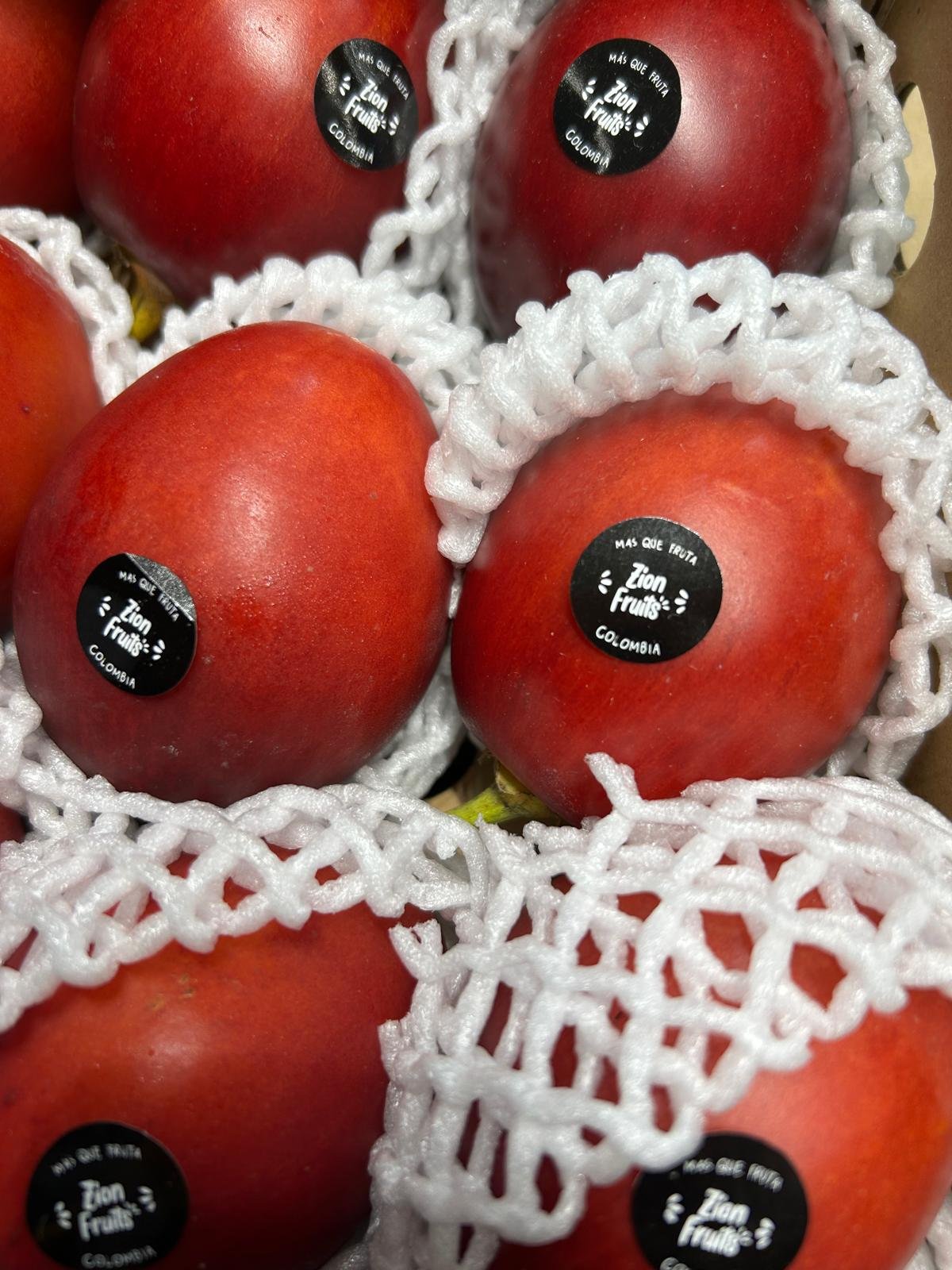 WhatsApp Image 2026-01-26 at 09.58.32 (2)