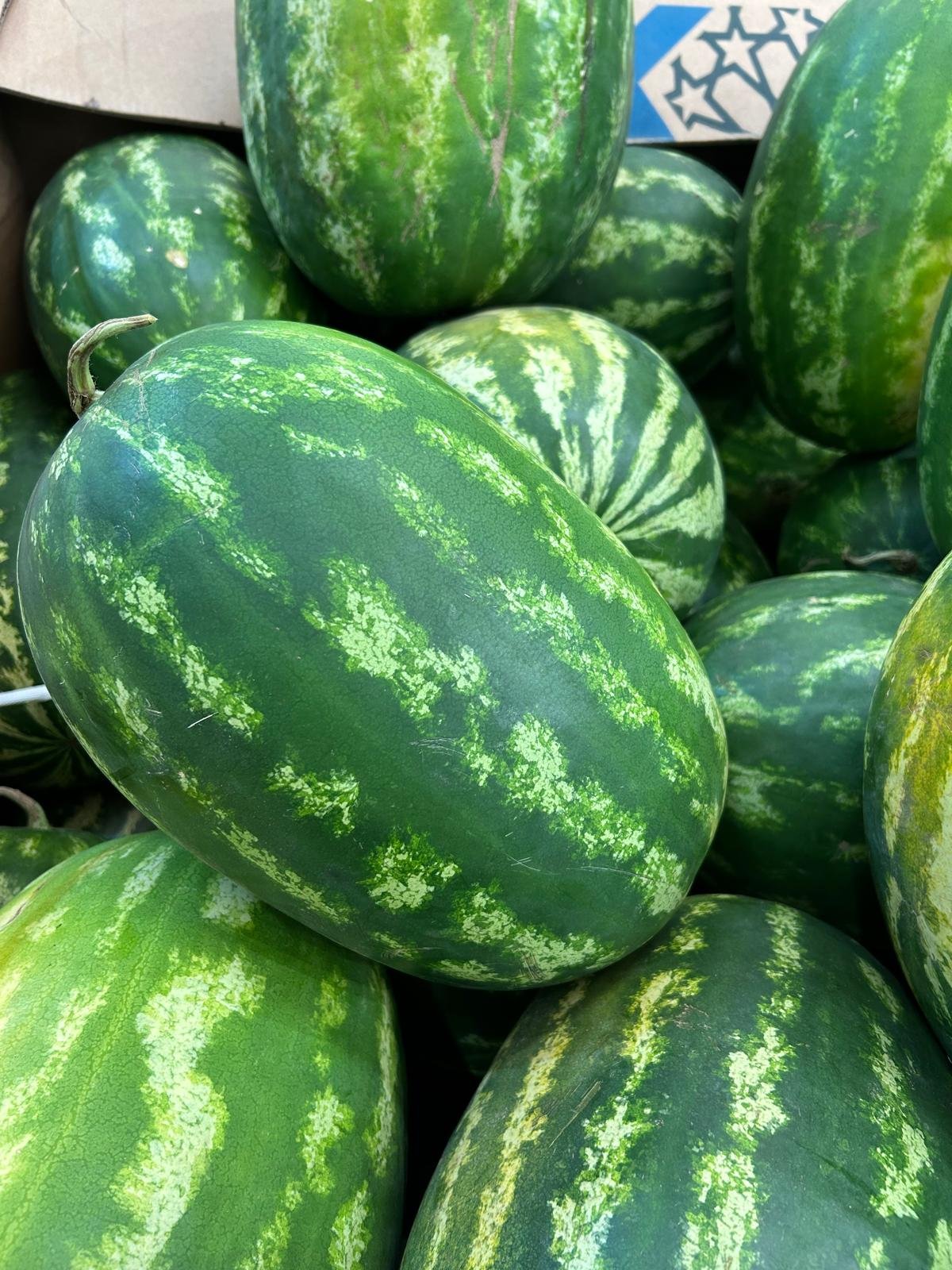 WhatsApp Image 2026-01-26 at 09.58.33 (1)