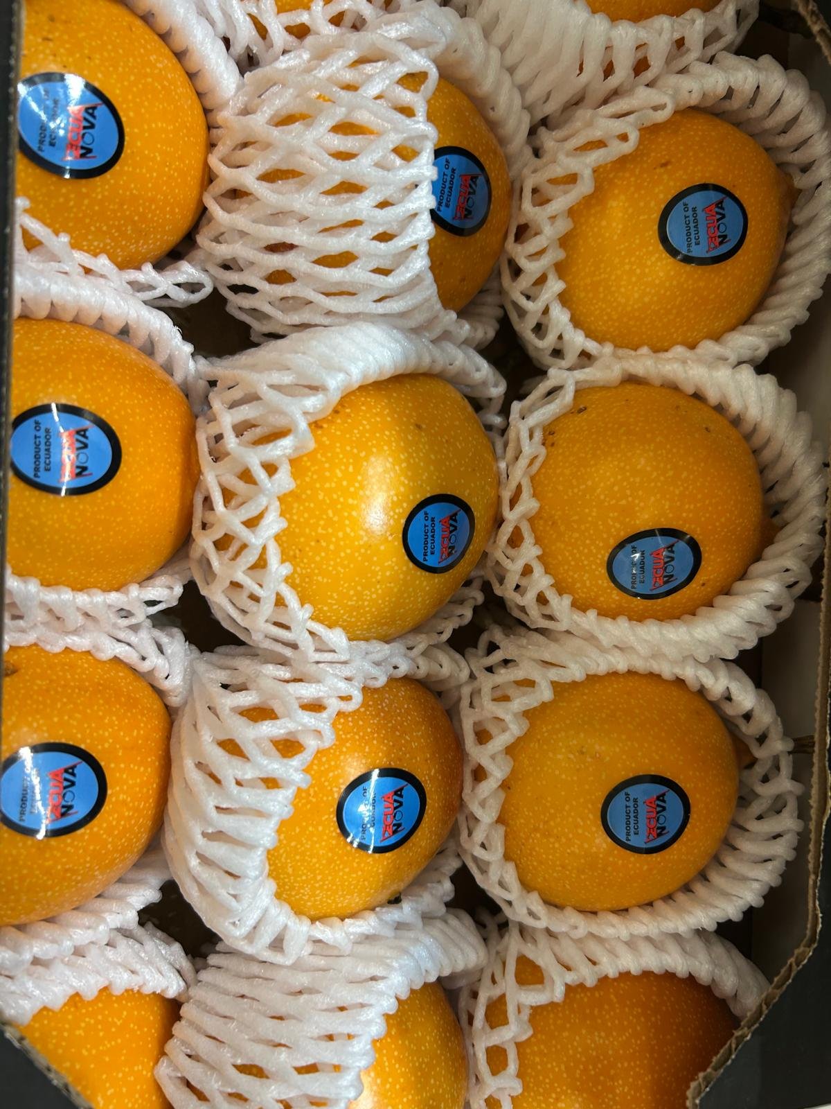 WhatsApp Image 2026-01-26 at 09.58.33