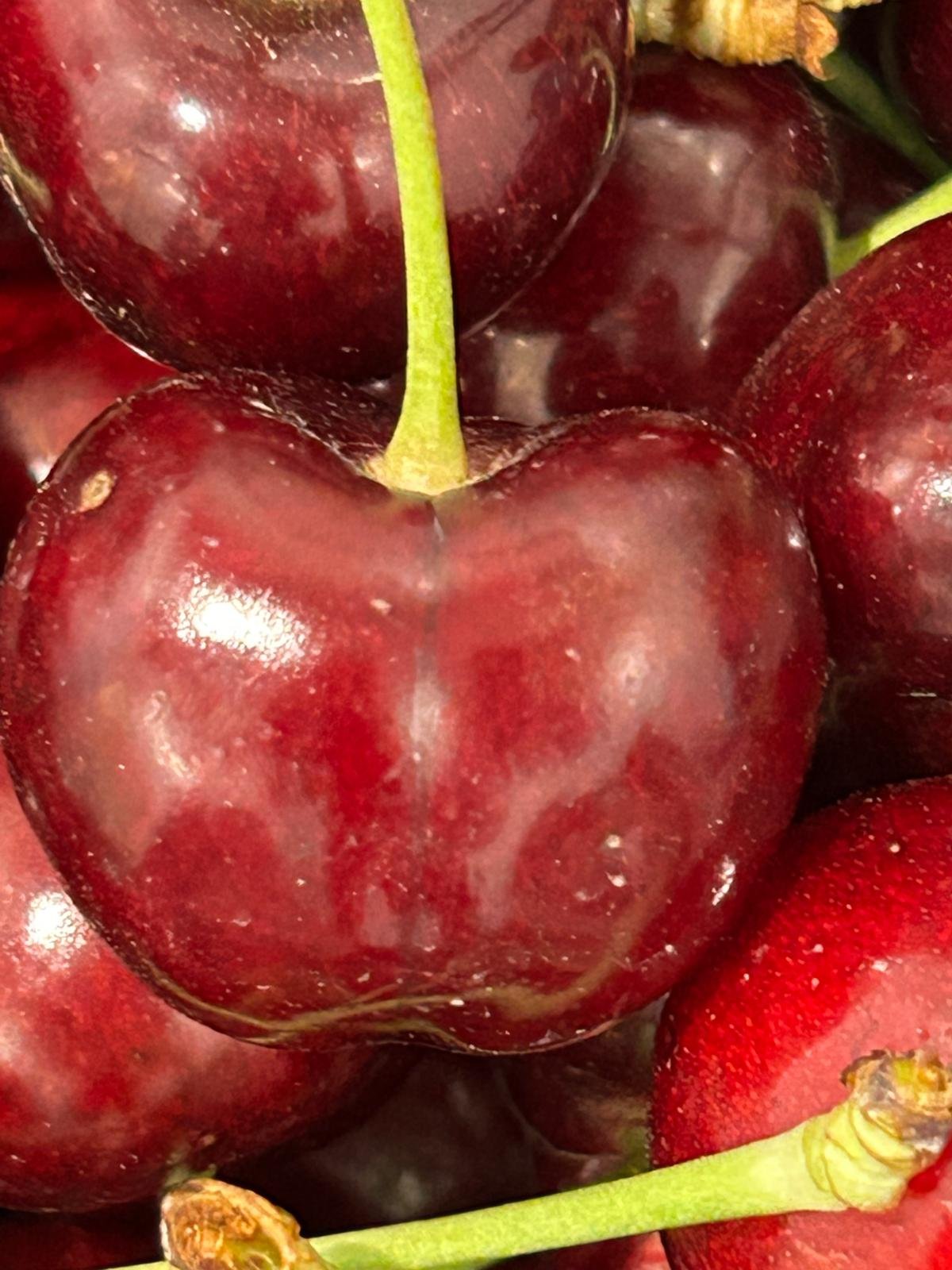 WhatsApp Image 2026-01-26 at 09.58.34 (1)