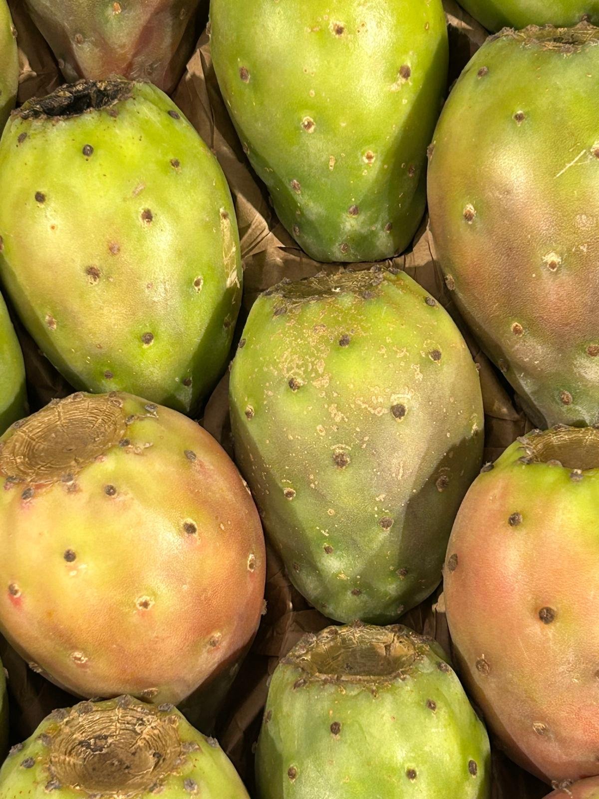 WhatsApp Image 2026-01-26 at 09.58.34 (2)