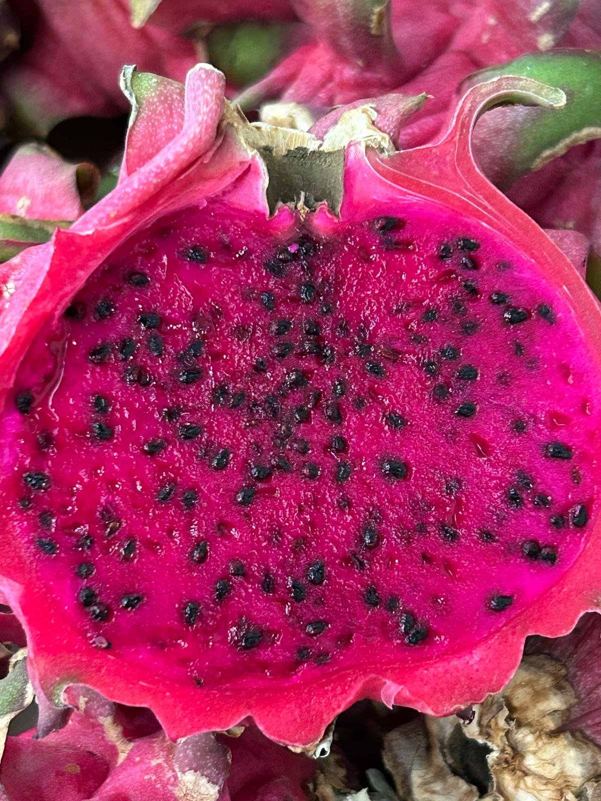 WhatsApp Image 2026-01-26 at 09.58.35